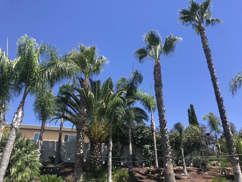 Photo of Jerez Landscaping and Maintenance