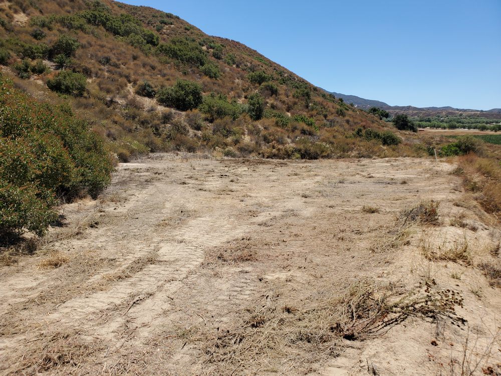 Photo of West Coast Brush Control