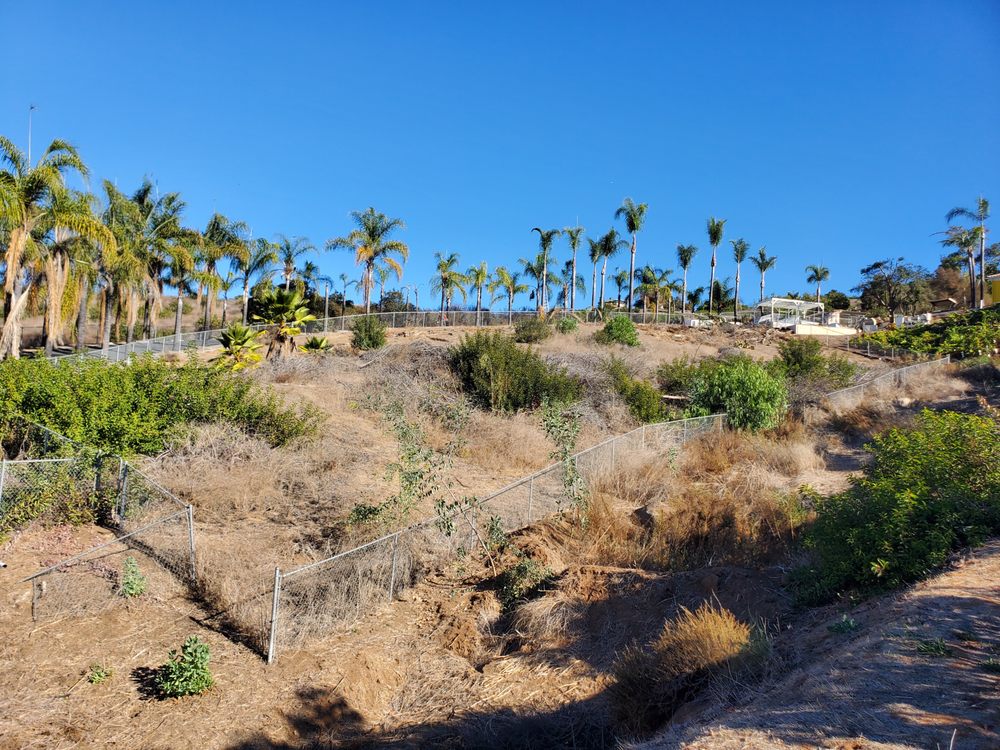Photo of West Coast Brush Control