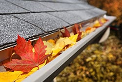 Photo of We Do Windows