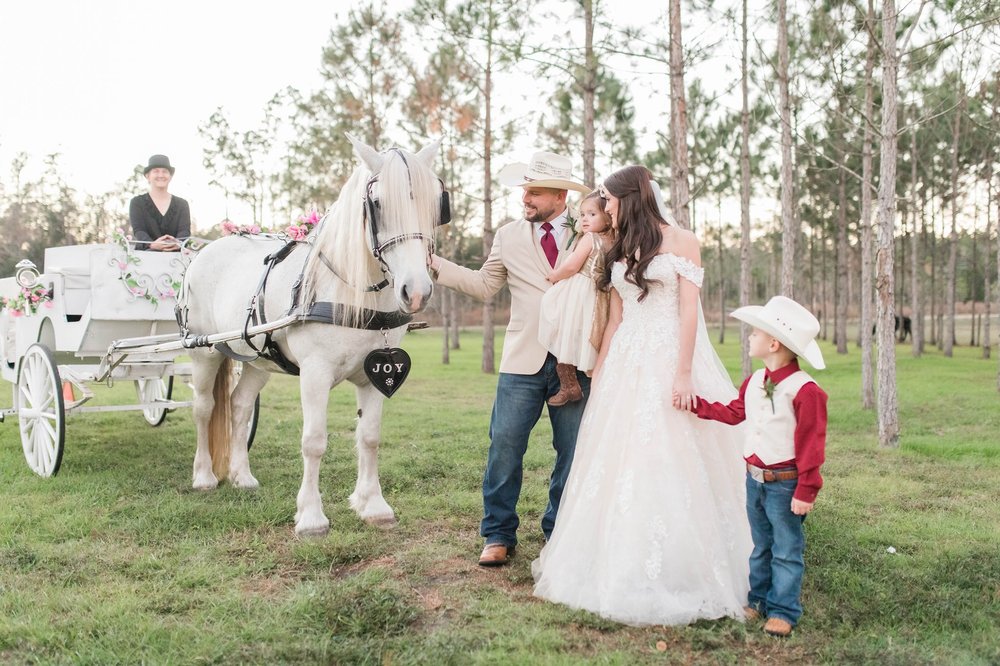 Photo of Pinto Carriage Works, LLC