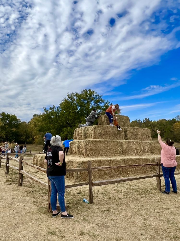 Photo of Faulkner's Ranch