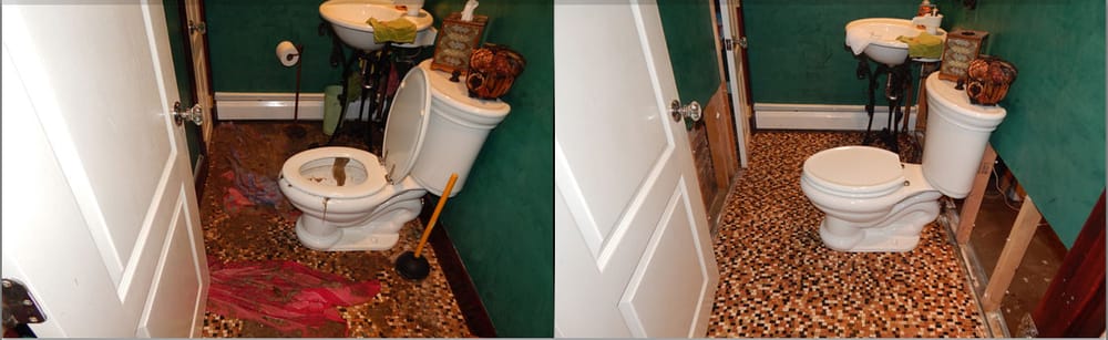 Photo of Mold Solutions & Inspections