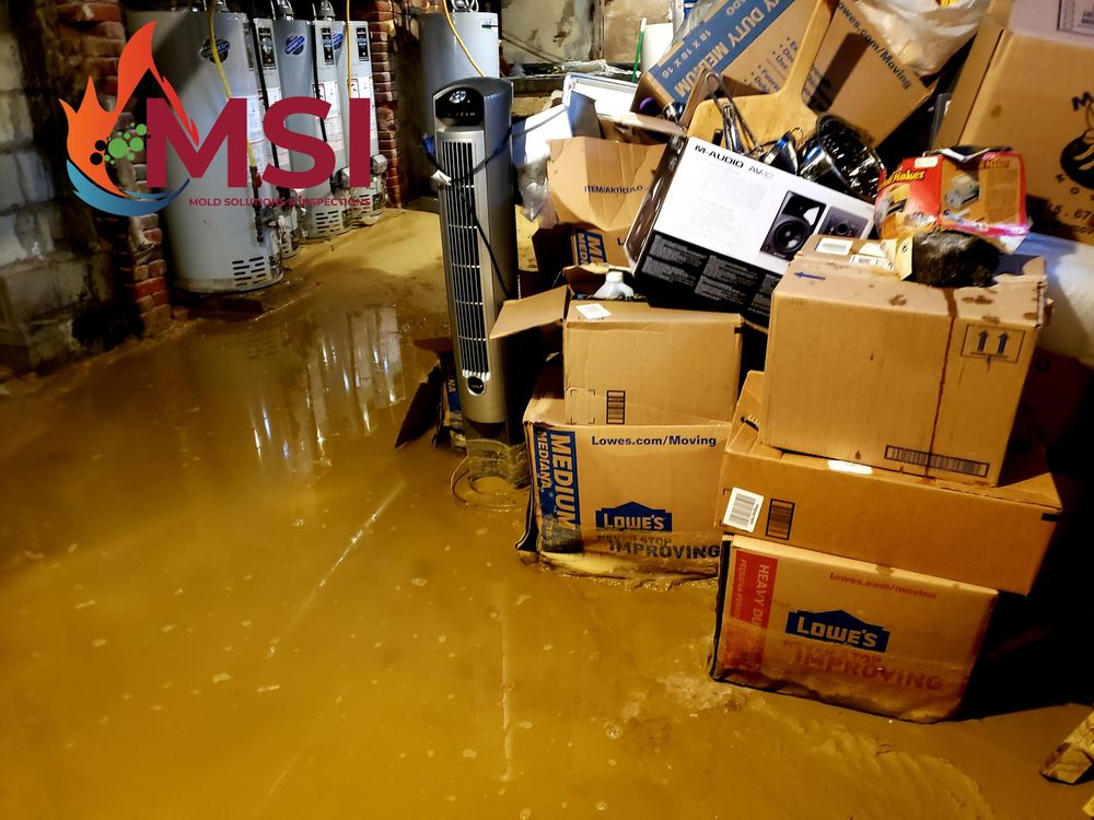 Photo of Mold Solutions & Inspections