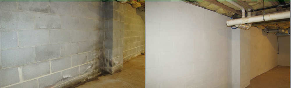 Photo of Mold Solutions & Inspections