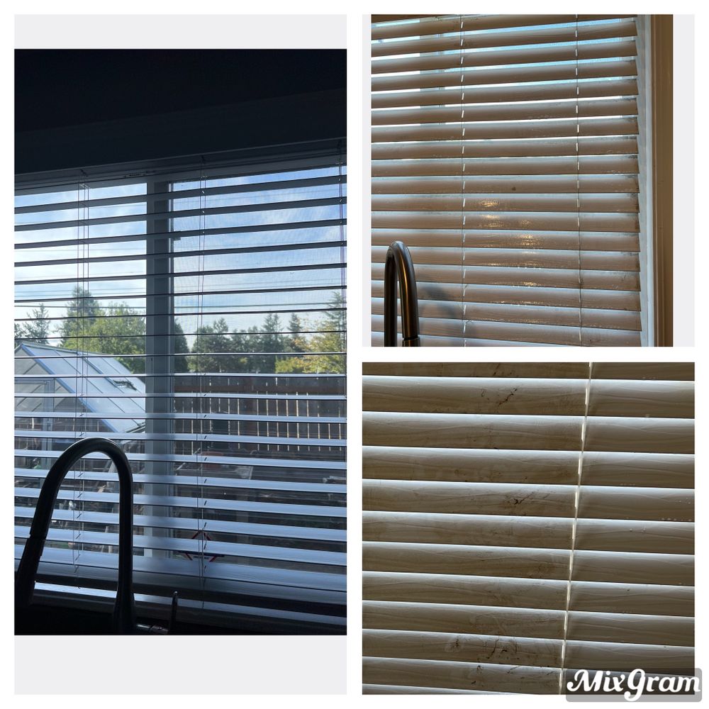 Photo of ADTN House Cleaning