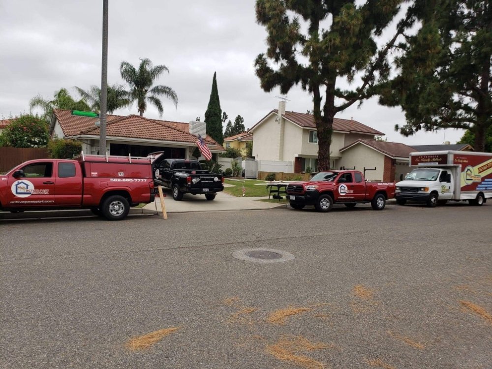 Photo of Active Pest Control