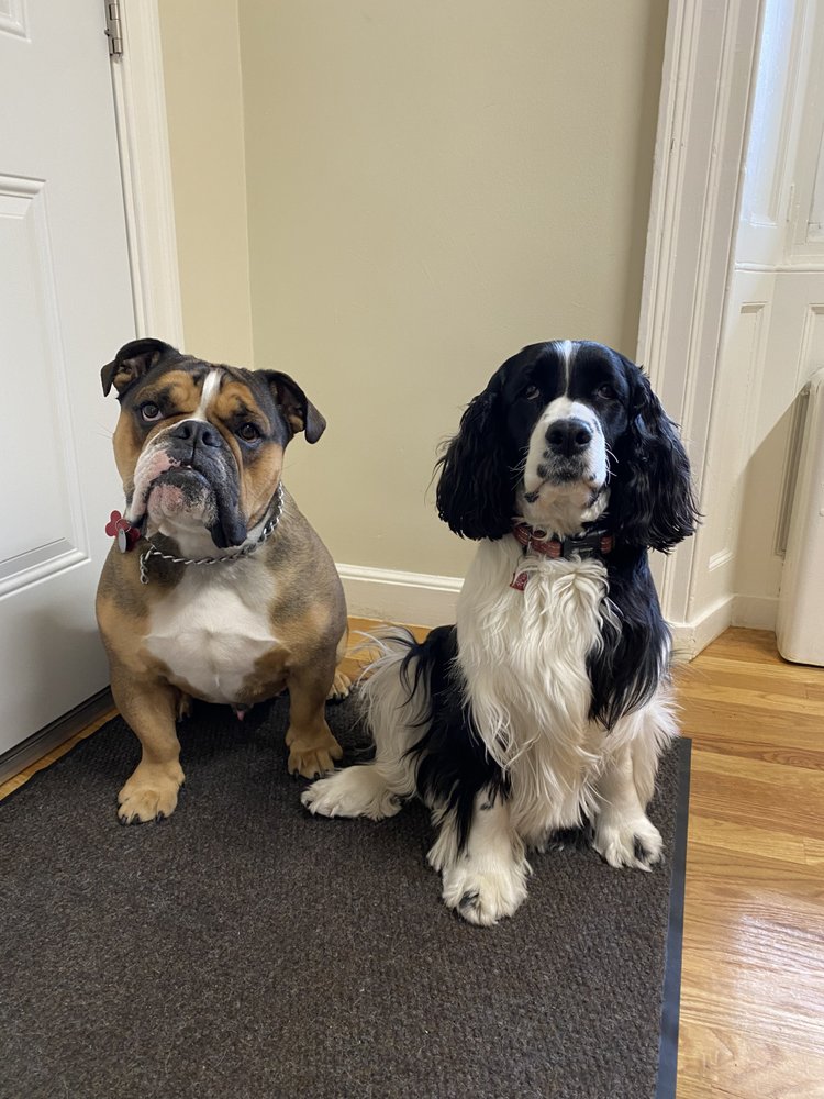 Photo of Braese Associates