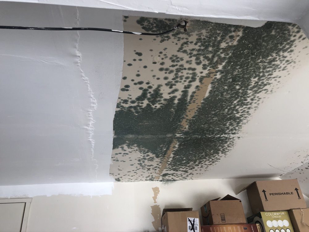Photo of Swift Restoration