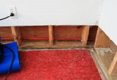 Photo of Patriot Restoration