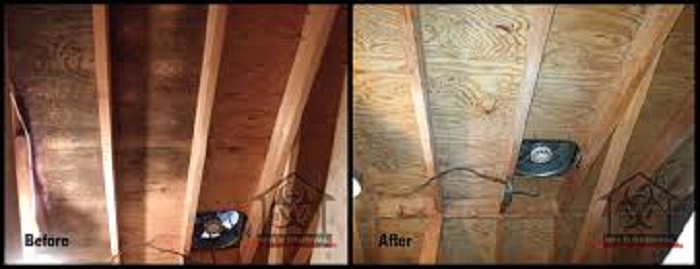 Photo of Patriot Restoration