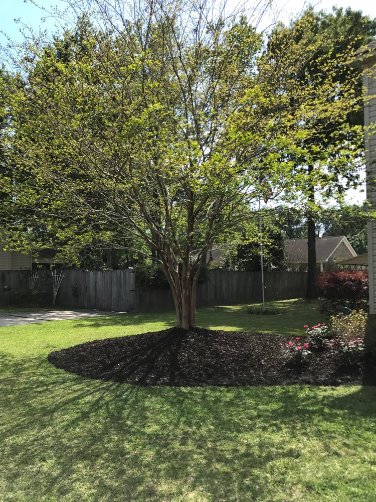Photo of J & C Firewood And Lawn Services