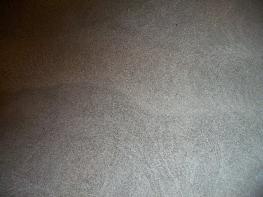 Photo of Max-Clean Carpet & Upholstery Care