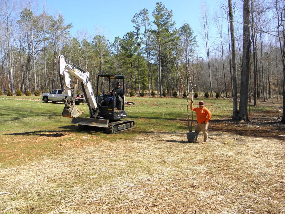 Photo of New Day Landscape & Hardscaping of Mebane