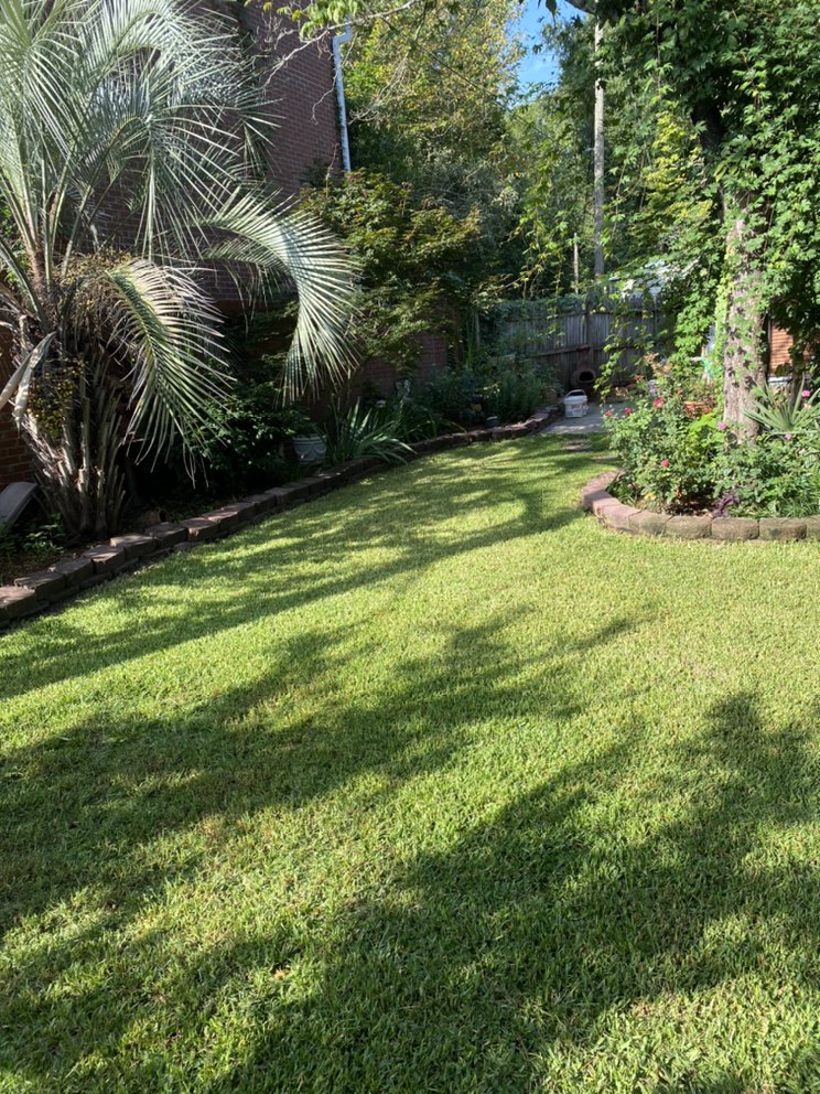 Photo of TopNotch Lawn Services