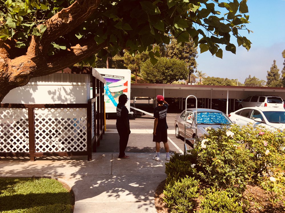 Photo of Moving Team Company