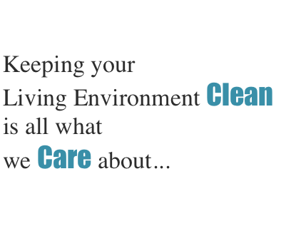 Photo of Chase Cleaning Service
