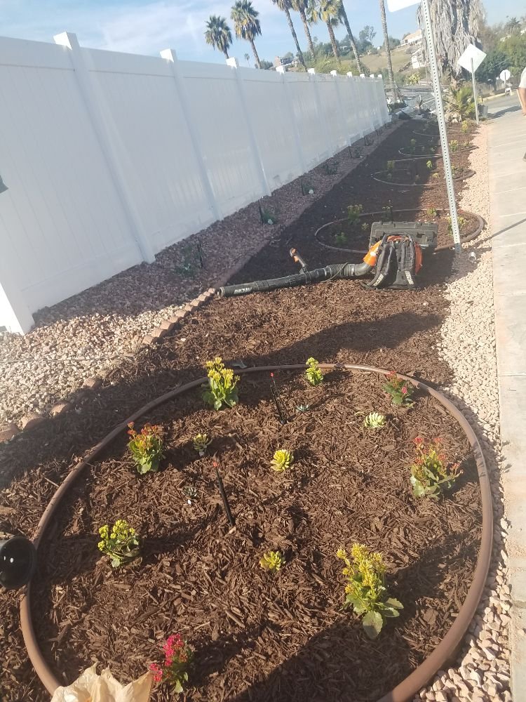 Photo of Affordable Landscape