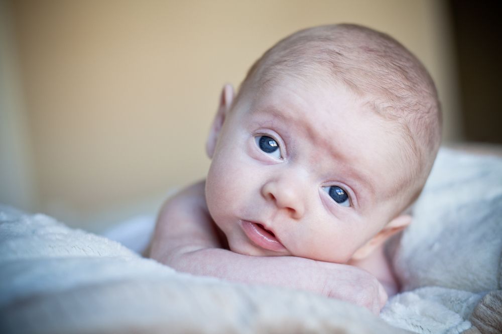 Photo of Melanie Rose Photography + Creative