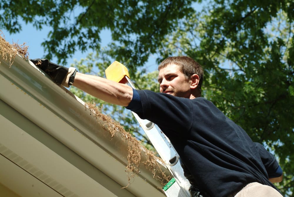 Photo of Metro Gutter & Home Services