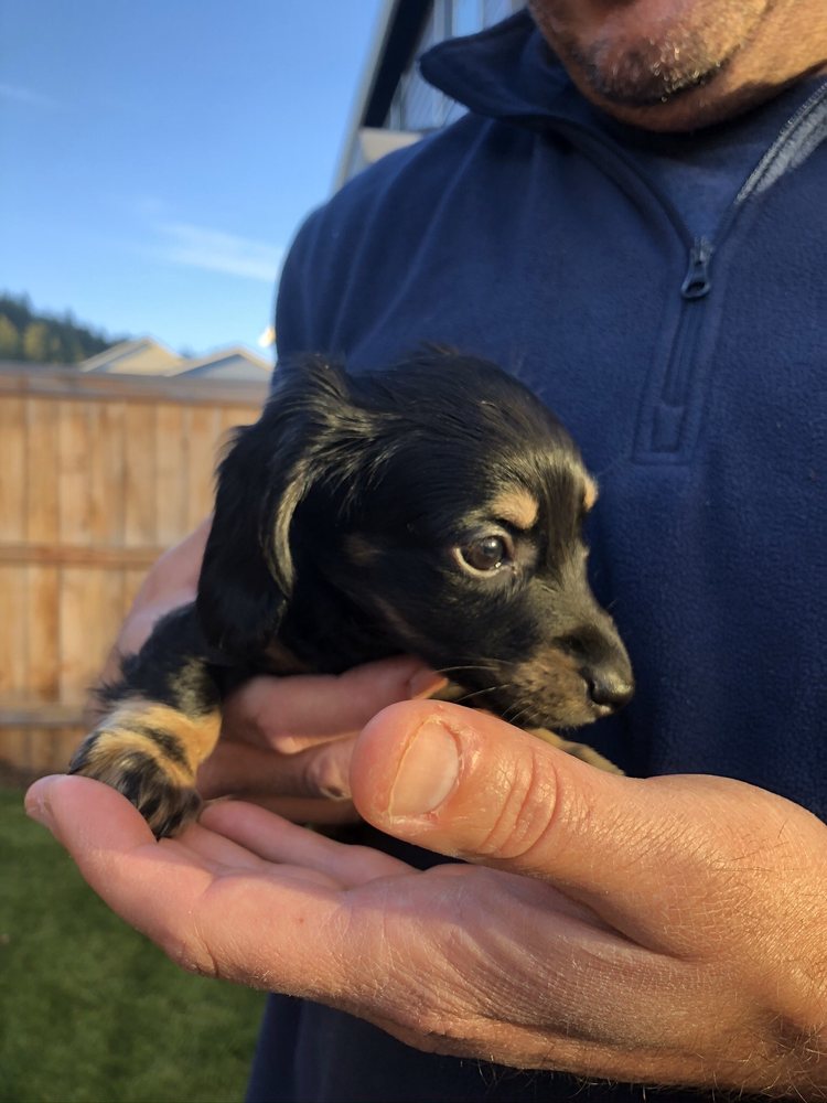Photo of My Girl Wendy