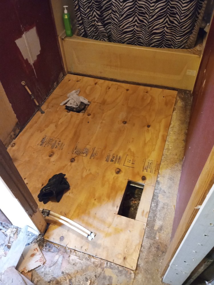 Photo of Justin Frank Handyman