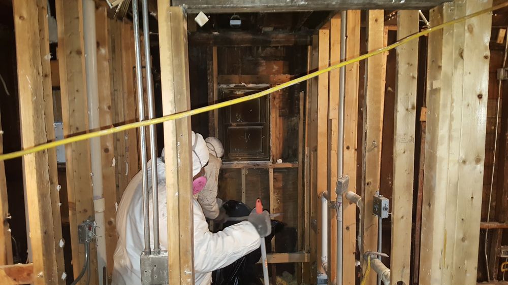 Photo of Bella Water Damage
