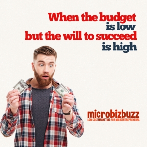 Photo of MicroBizBuzz