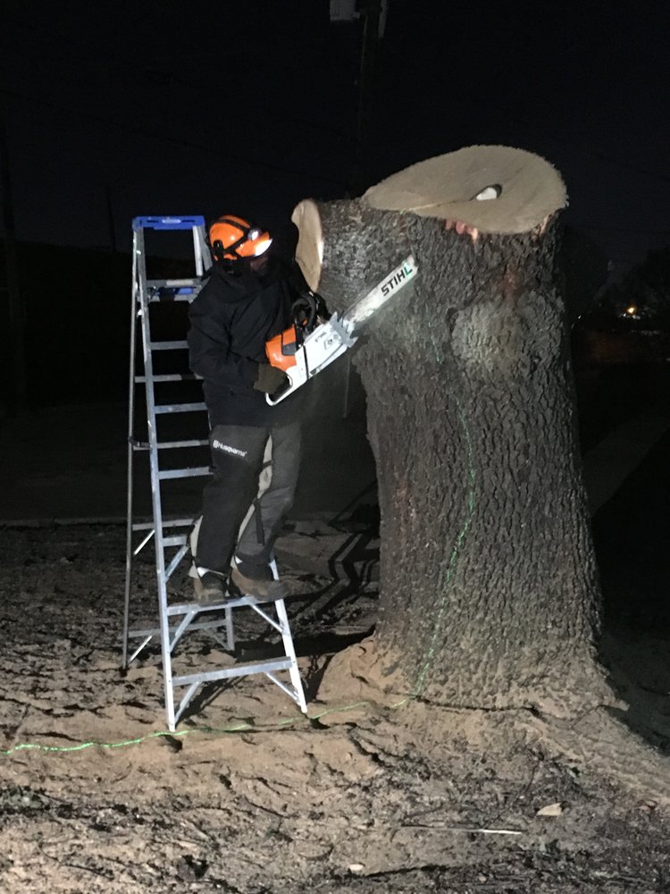 Photo of Dallas Live Edge
