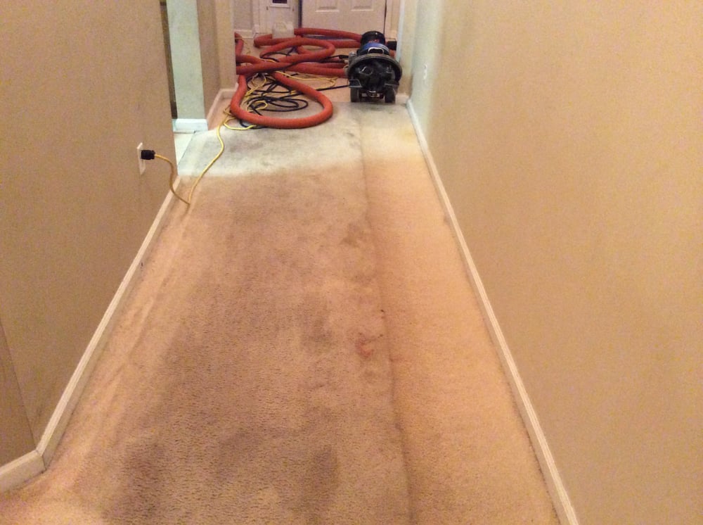 Photo of Bold City Carpet Care-