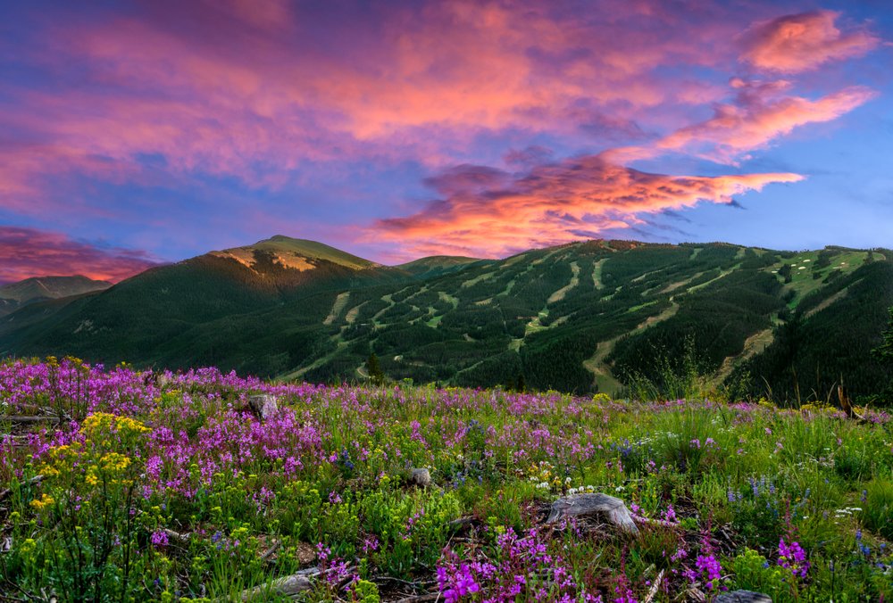 Photo of Colorado Craft Brokers