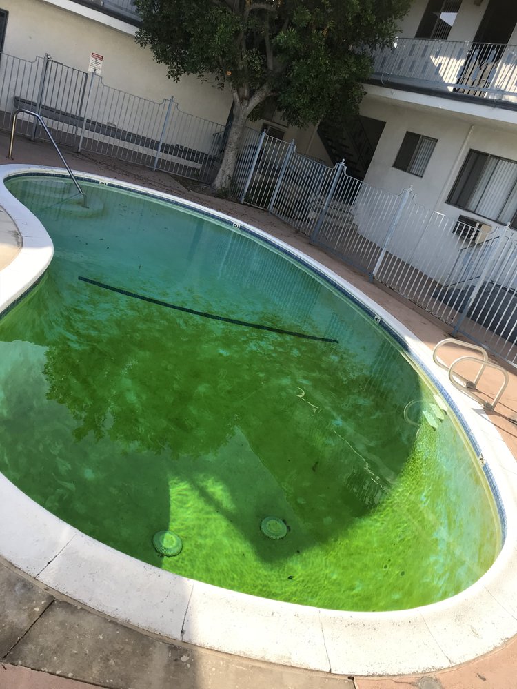 Photo of Commercial Pool & Spa Services