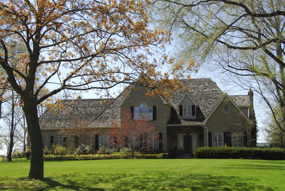 Photo of Safari Lawn Care