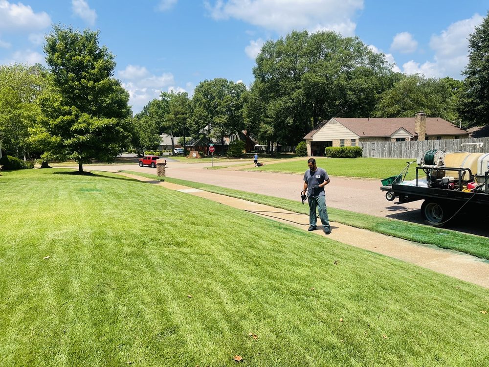 Photo of Safari Lawn Care