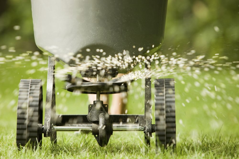 Photo of Safari Lawn Care