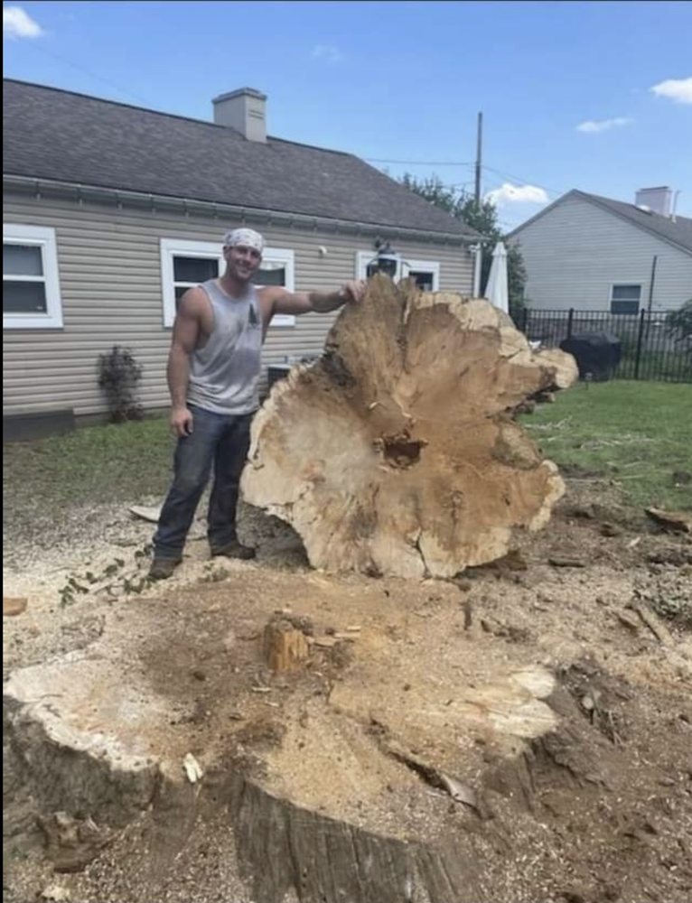 Photo of Bauman's Tree Service