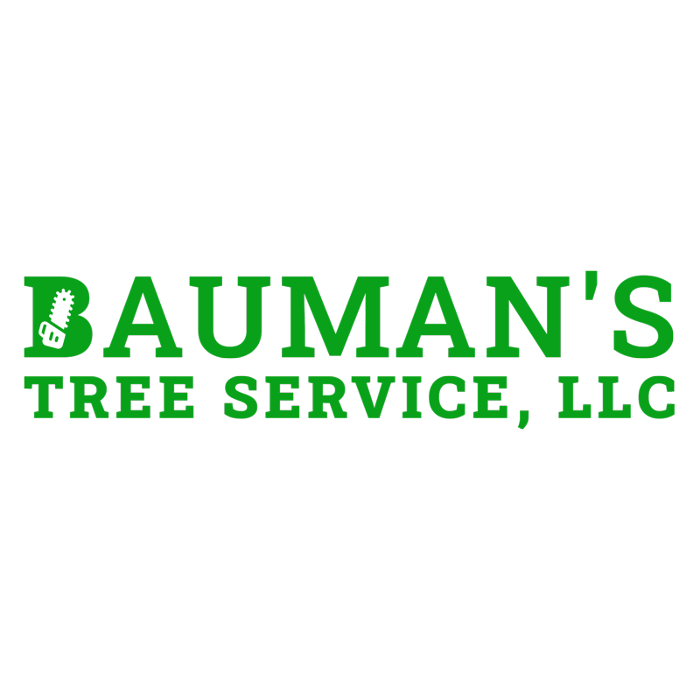 Photo of Bauman's Tree Service