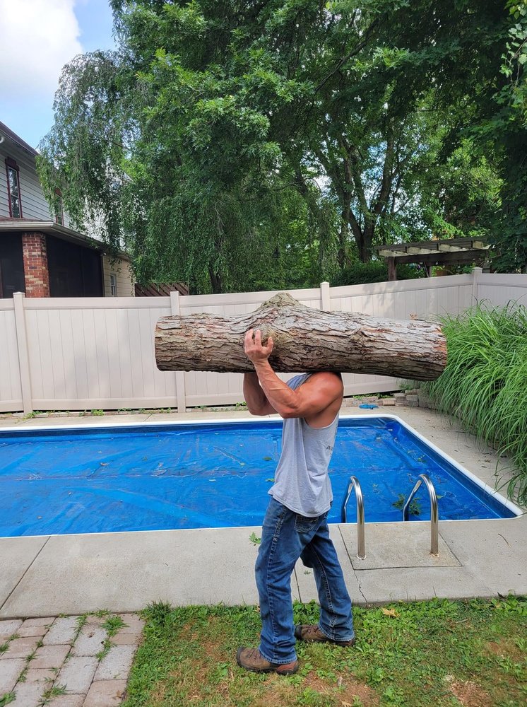Photo of Bauman's Tree Service