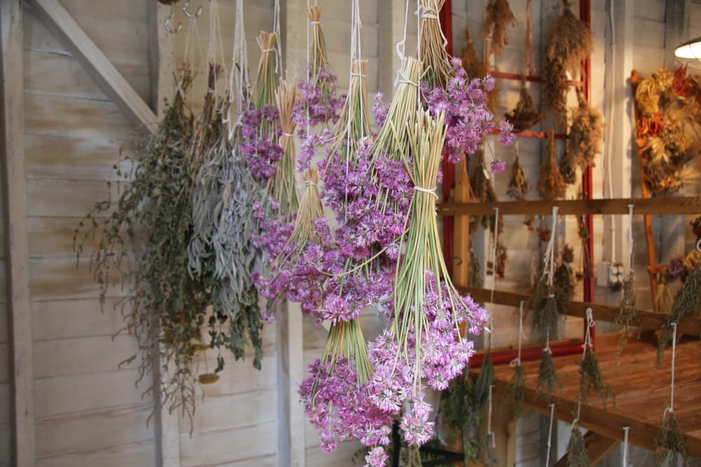 Photo of Ohio Herb Center