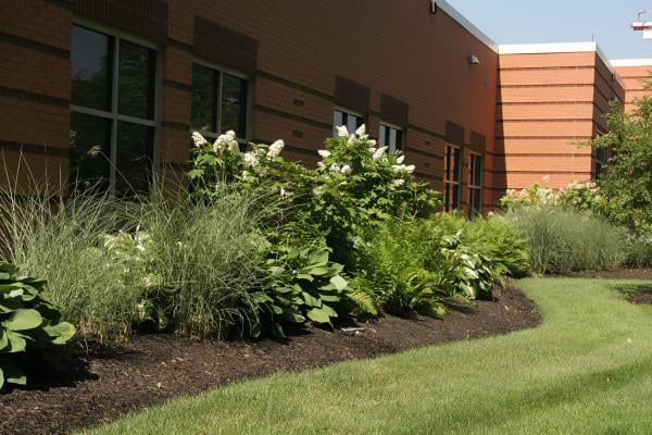 Photo of Lawn Masters Lawn And Landscaping