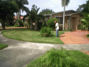Photo of Yard Smart
