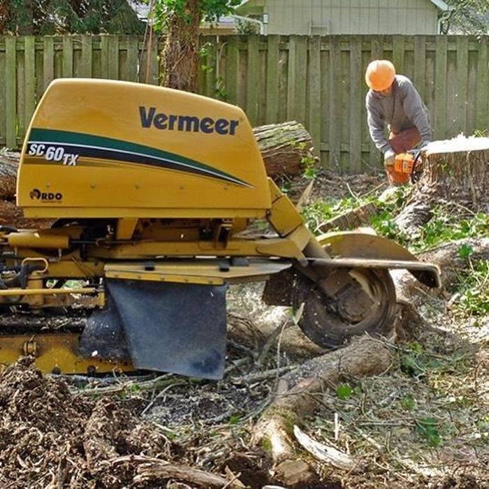 Photo of Stump Eater