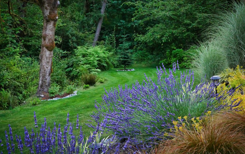 Photo of All American Landscaping & Maintenance