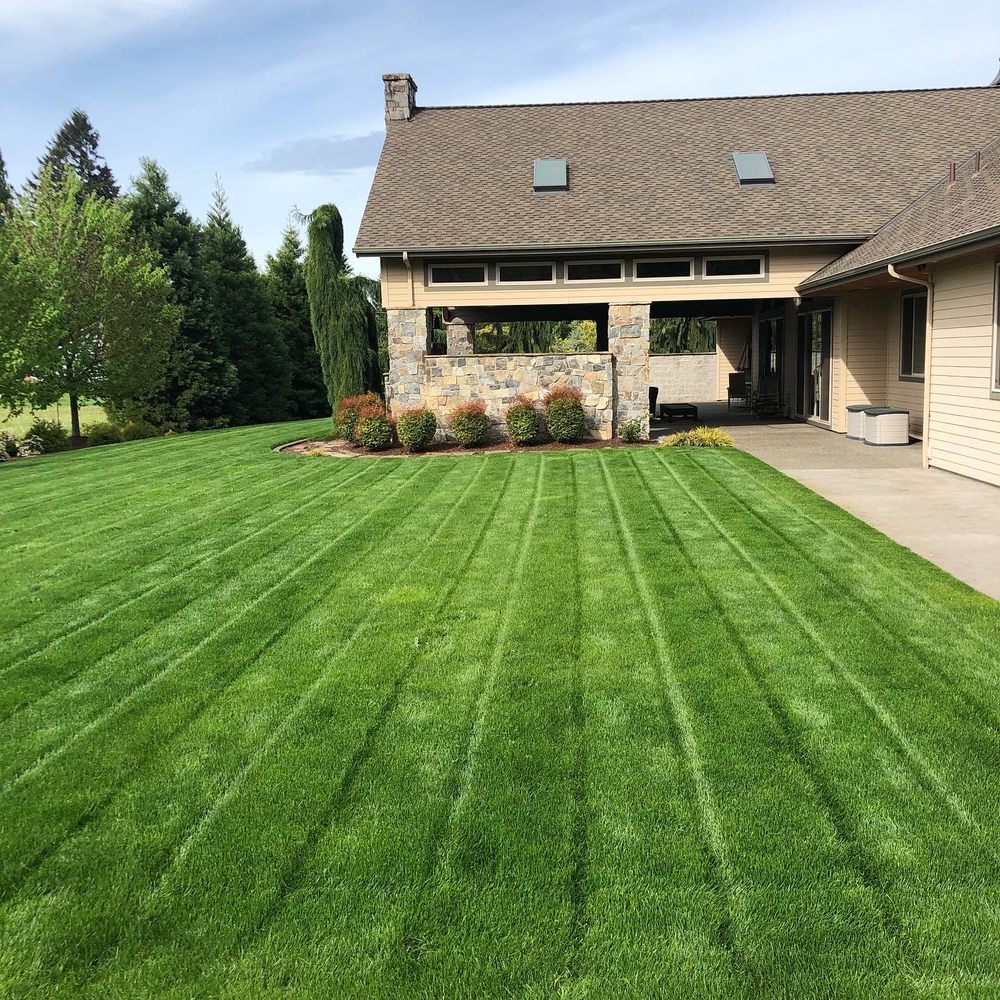 Photo of All American Landscaping & Maintenance