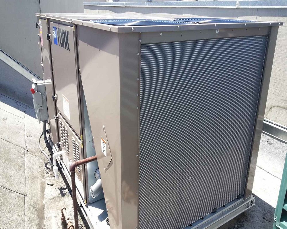 Photo of Signior Eckert Installation