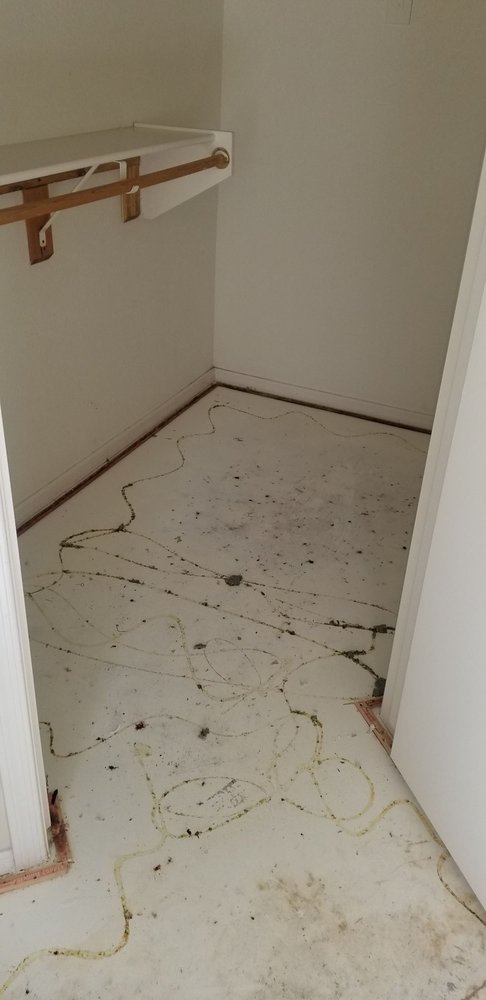 Photo of Restore Master