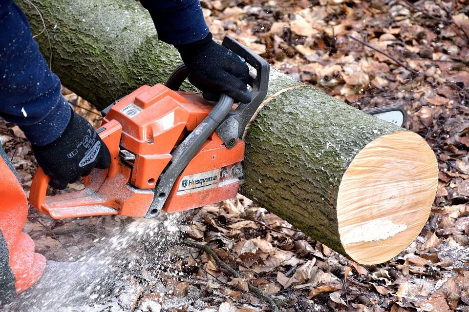 Photo of Green's Complete Tree and Stump Removal