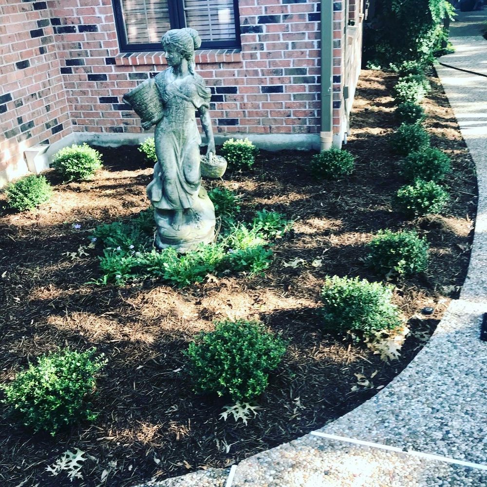 Photo of White Lawn Care