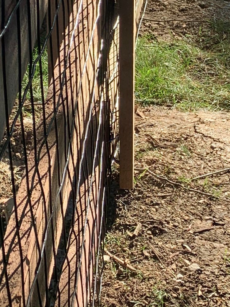 Photo of Mae Fence
