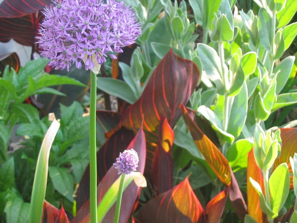 Photo of Philadelphia Garden Inc.